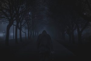A lone figure on a dark misty forest path