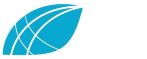 EMM Consulting logo — Streamline ISO client